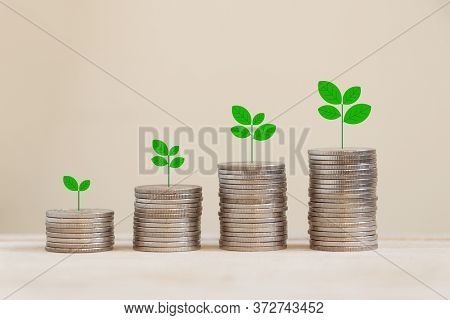 Silver Coins Arranged In A Graph With There Are Trees On Top.