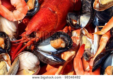 Shellfish