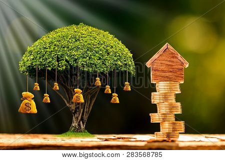 Home Model Put On The Stacking Gold Coins And Money Bag Of Tree With Growing In The Public Park, Bus