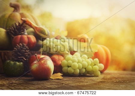 Autumn Fruit