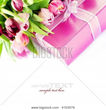 Pink Tulips And Gift Box