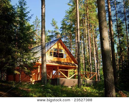 Log House In The Forest