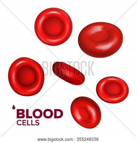 Blood Cells Erythrocytes In Vein Or Aorta Vector. Human Vascular Flowing Red Hematopoietic Cells, He