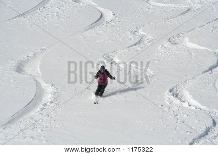 Fresh Tracks