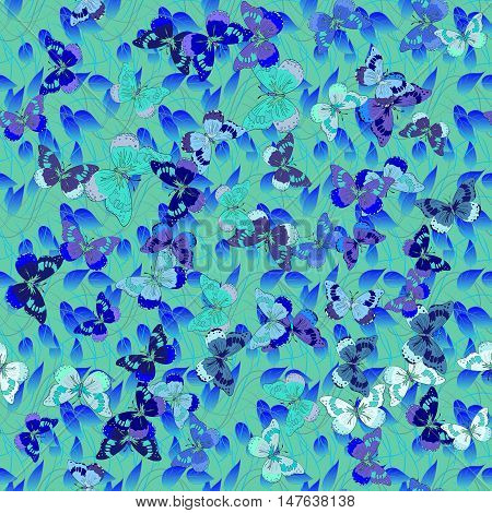 Vector seamless pattern with blue butterflies on grey background. Element for design.