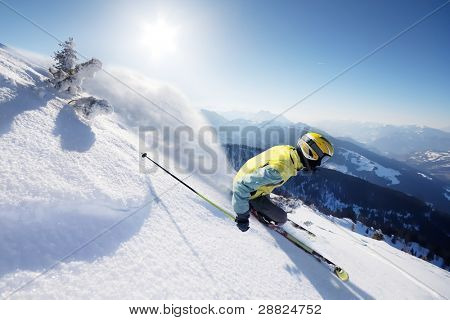 Skier