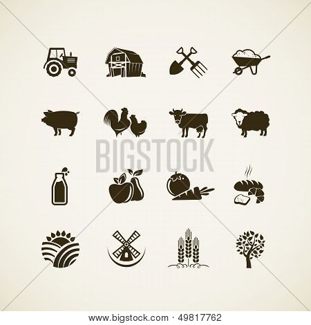 Set of farm icons