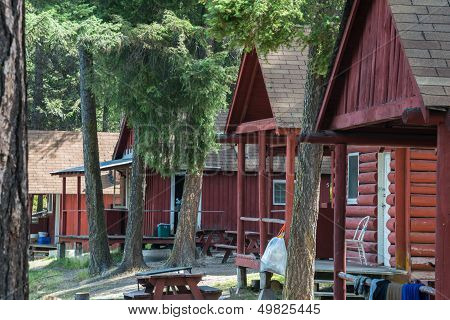 Row Of Log Cabins at a Resort  in a Forest