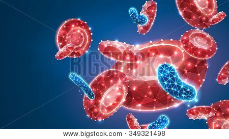 Erythrocytes Or Red Blood Cells. Human Vascular System, Microscopic Cells World Concept. Abstract Po