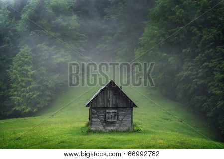 alone cabin in the woods