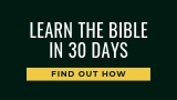 Learn the Bible in 30 days