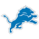 Detroit Lions