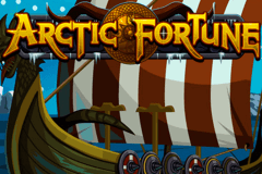 logo arctic fortune microgaming spelauatomat 