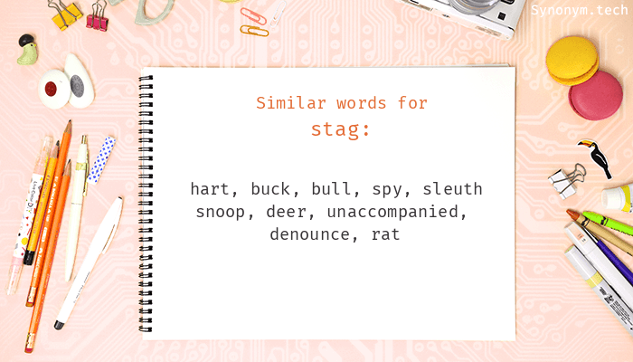 Stag Synonyms